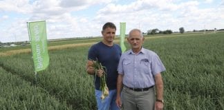 Cebulowe spotkanie koło Inowrocławia