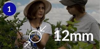 7 Zasad Dobrego Zbioru – krok po kroku