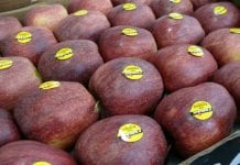 WAPA: zapasy jabłek w marcu