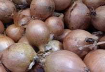 Trudna sytuacja na rynku cebuli w Europie