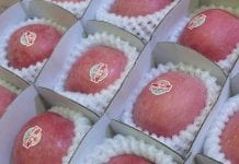 Indie zmniejszają import jabłek. Trwa blokada dostaw z Chin