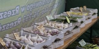 Dni Pola firmy Polan na Kaszubach