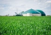 Korekta w ustawie o OZE – będzie więcej biogazowni