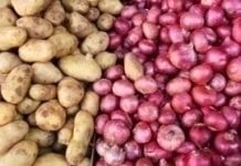 Ceny owoców i warzyw na polskich rynkach w listopadzie