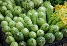 „Niebotyczne” ceny warzyw w Europie, cukiniowy kryzys na Wyspach