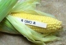 Walka w Kongresie USA wokół etykietowania żywności GMO
