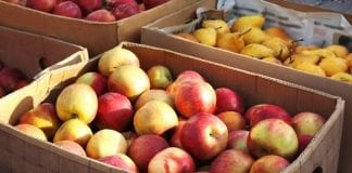 Mołdawia zwiększa eksport owoców