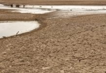 Hydrolog: niski poziom wód w rzekach związany z periodycznością klimatu