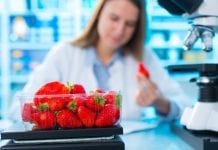 W Broniszach otwarto laboratorium do poboru próbek owoców  i warzyw