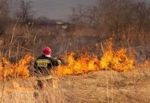 Prawie 20 tys. pożarów traw; za ich wypalanie grozi utrata dopłat