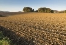 Unijny Trybunał: Polska mogła dopłacać do zakupu ziemi rolnej