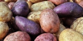 Ziemniak – w budowaniu naszej odporności
