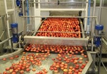 Zapasy jabłek we Włoszech na dzień 1 kwietnia 2017