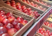 Jabłka i gruszki droższe. Włosi analizują sytuację