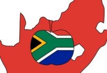 Rośnie holenderski import z RPA