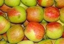 Argentyński rynek jabłek i gruszek