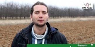 Komunikat jagodowy – Michał Malicki: Nawożenie startowe roślin jagodowych