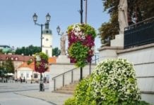 Plebiscyt na najpiękniej ukwiecone miasto Polski