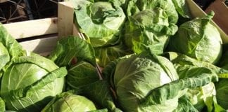 Ceny warzyw na rynku hurtowym