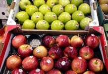 Biedronka: włoskie jabłka tylko 50 gr droższe od polskich