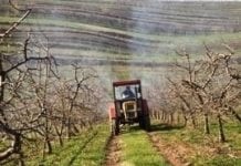 Podkarpackie: rolnicy dostali ok. 19 mln zł