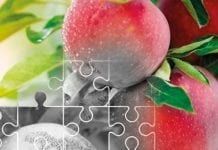 „Parch jabłoni” – nowa książka w ofercie wydawnictwa Plantpress