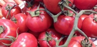 Spadają ceny rosyjskich pomidorów