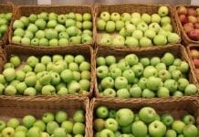 Detalicznie o jabłkach w Rosji