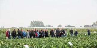 Syngenta Fields of Innovation 2017