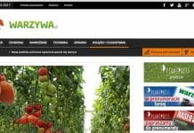 WARZYWA.PL – nowy serwis dla producentów