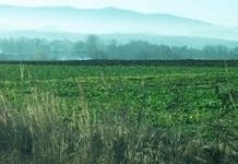 Drożeją grunty rolne na Dolnym Śląsku