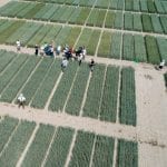 Polska marka Innvigo – konkurencyjna i innowacyjna