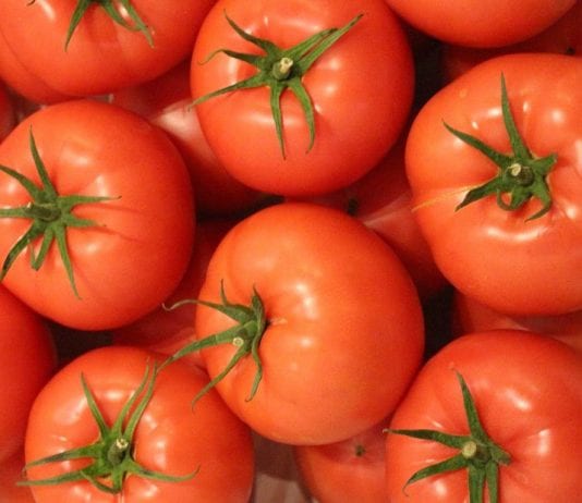 Szkolenie pomidorowo-ogórkowe w Tłokini Kościelnej