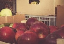 Zarzuty UOKiK dla 8 dostawców owoców i warzyw do szpitali i więzień