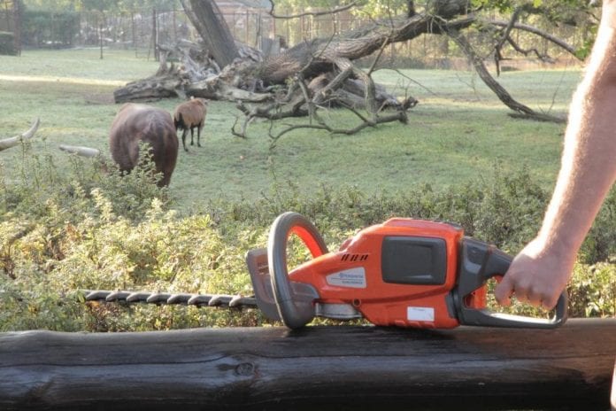 Profesjonalne maszyny akumulatorowe Husqvarna dbają o zieleń i komfort zwierząt w ZOO Wrocław