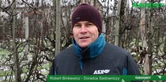 Robert Binkiewicz – Agrosimex – Pokaz zimowego cięcia grusz