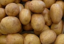 Sekrety ziemniaków – co kryje się tuż pod skórką?