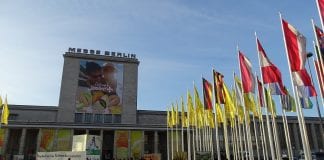 Warszawa – Berlin 577km (Fruit Logistica 2019)