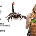 Rozszerzenie rejestracji Scorpion 325 SC