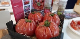 Targi Macfrut 2019