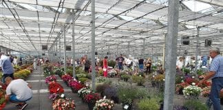 Dni Otwarte firmy Plantpol Sp. z o.o. – 2019