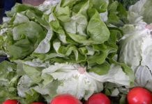 Ceny warzyw gruntowych nadal wysokie
