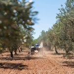 Rok po przejęciu Proplan: Grupa CIECH realizuje strategię globalnego rozwoju biznesu AGRO zwiększając liczbę produktów i rynków na których działa