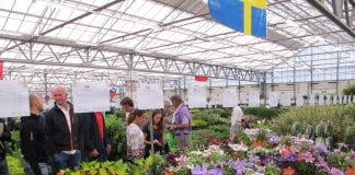 38. edycja Plantarium za nami
