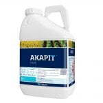 AKAPIT® 125 EC – nowy uniwersalny i ekonomiczny środek do zwalczania chwastów jednoliściennych od CIECH Sarzyna