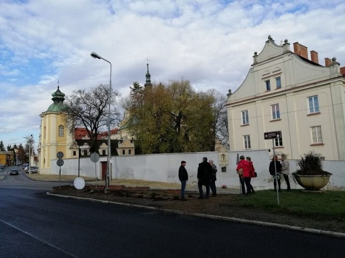 Miejska winnica w Sandomierzu - fot. P.Grel