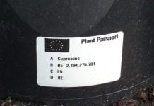 Paszporty roślin – jak się przygotować?