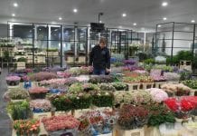 Nowoczesna sprzedaż kwiatów