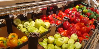 Rynek rolno-spożywczy w działaniach UOKIK i Inspekcji Handlowej
