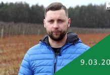 Borówka na początku wegetacji – komunikat jagodowy Agrosimex 09.03.2020 (VIDEO)
